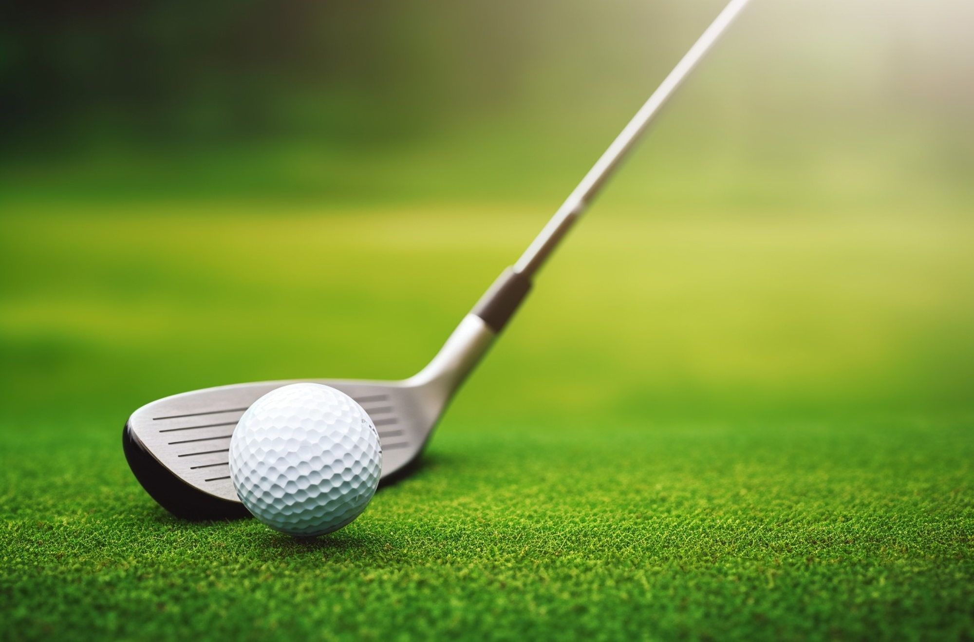 Divot Board Mastery: The Ultimate Guide to Choosing the Perfect Style