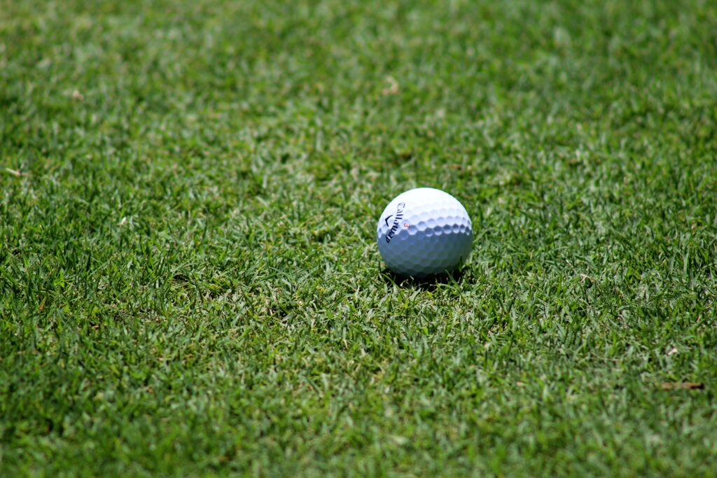 golf ball markers