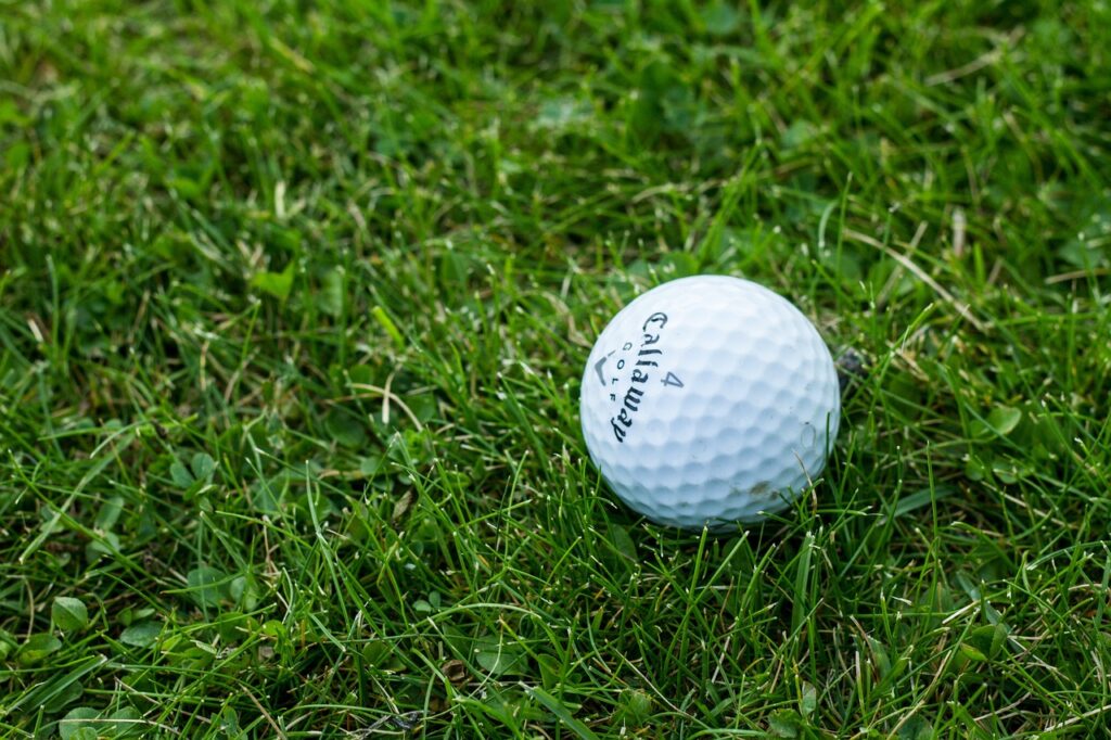 golf, golf ball, grass-1869983.jpg